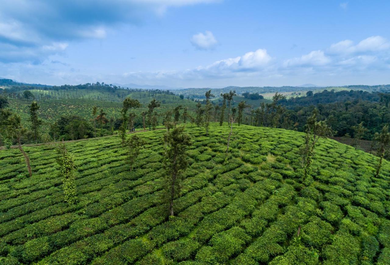 Amritara Ambatty Greens Resort Virajpet Bagian luar foto